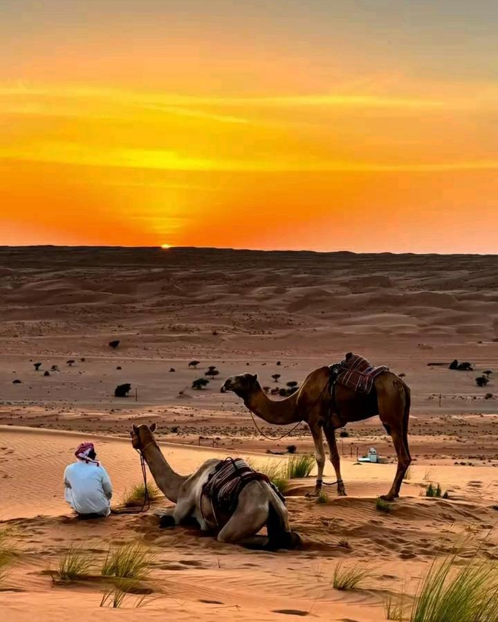 Safari Desert Camp Shāhiq Zewnętrze zdjęcie